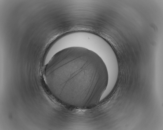X0000111240352200908131150