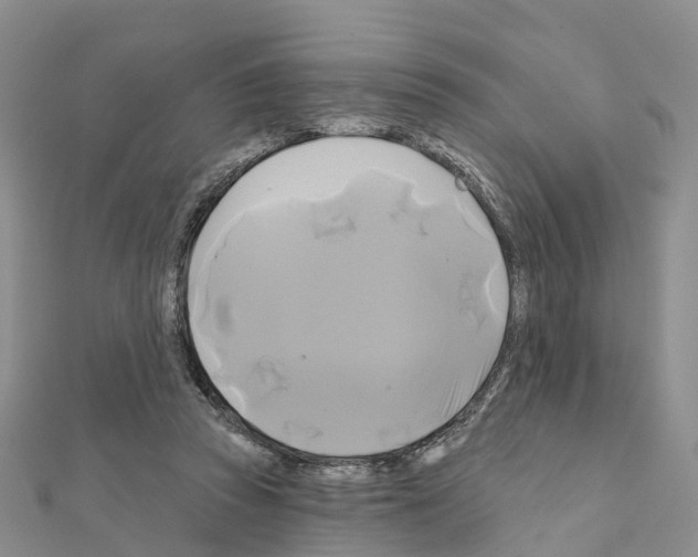 X0000111240353200908131150