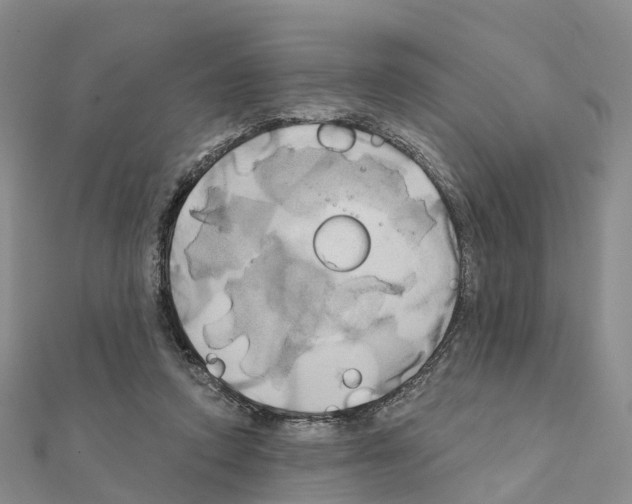 X0000111240354200908131150