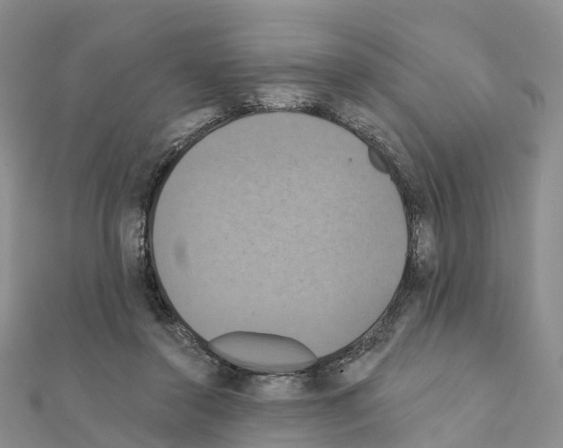 X0000111240356200908131150