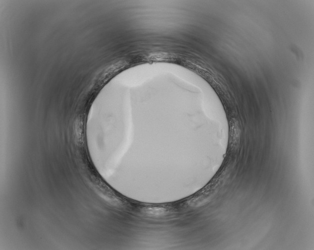 X0000111240361200908131150