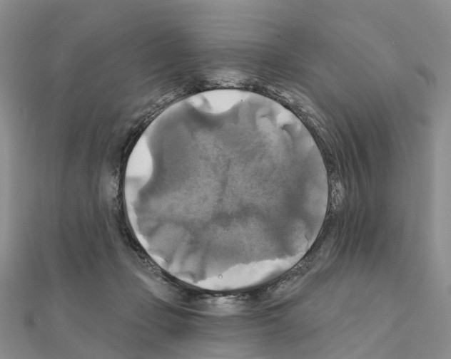 X0000111240365200908131150