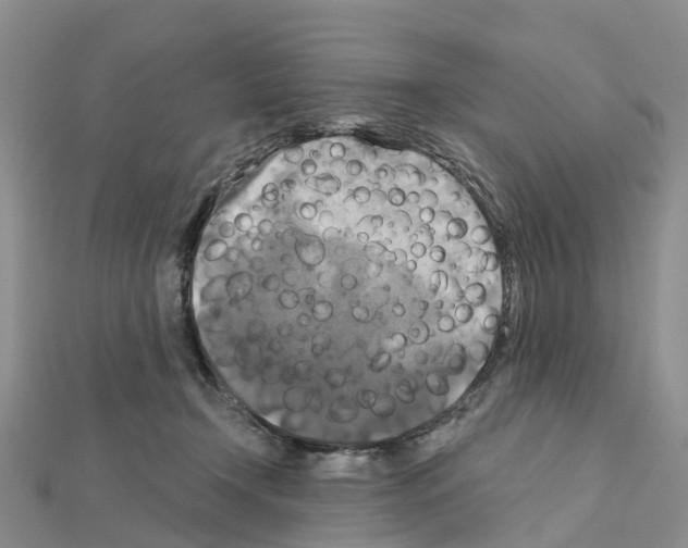 X0000111240366200908131150