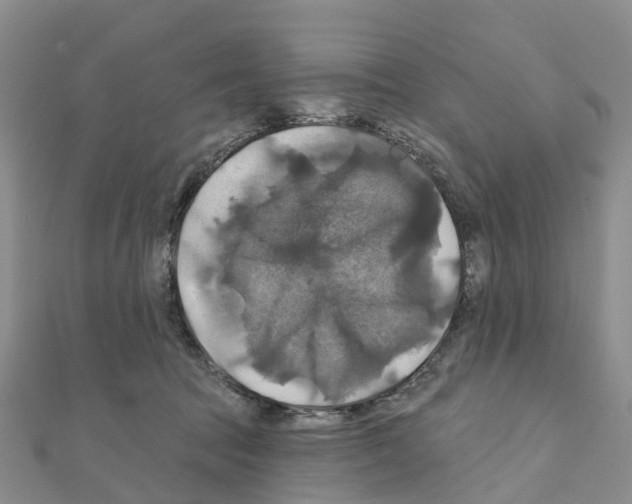 X0000111240369200908131150