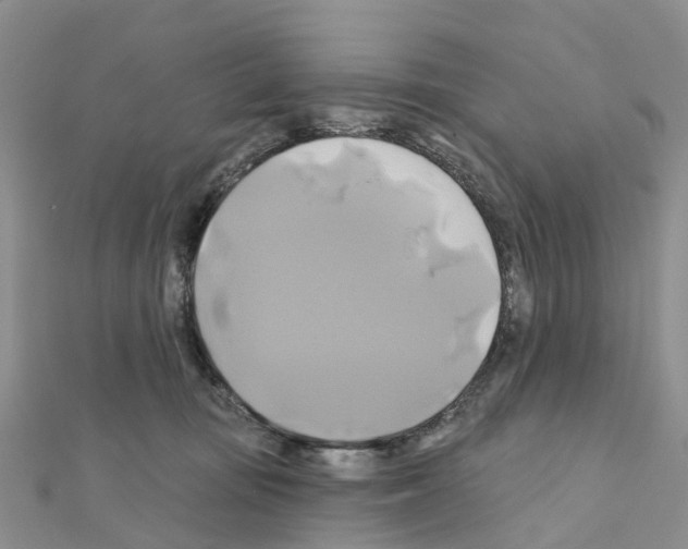 X0000111240371200908131150