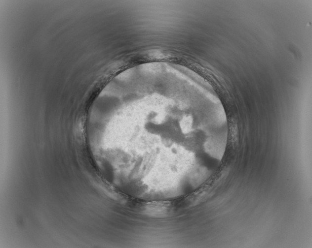 X0000111240373200908131150