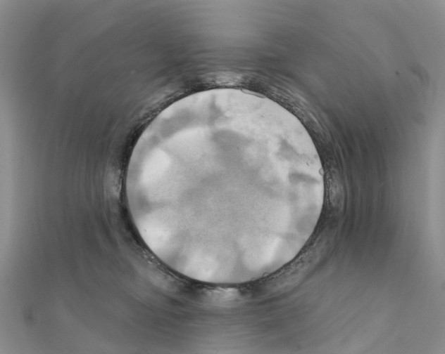 X0000111240374200908131150
