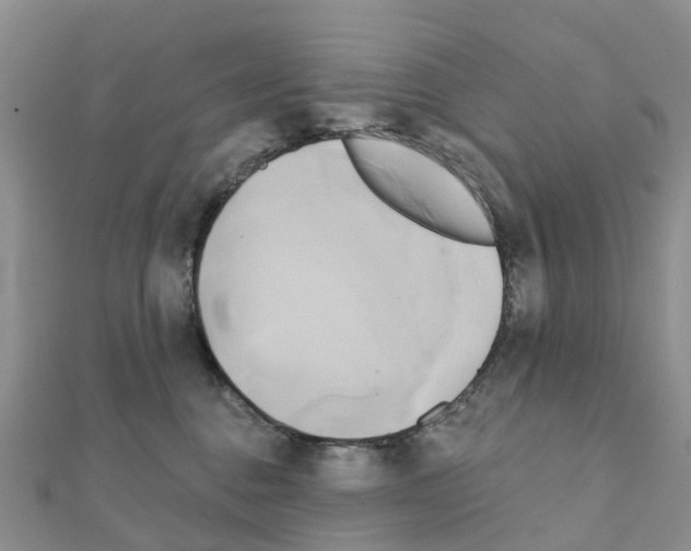 X0000111240376200908131150