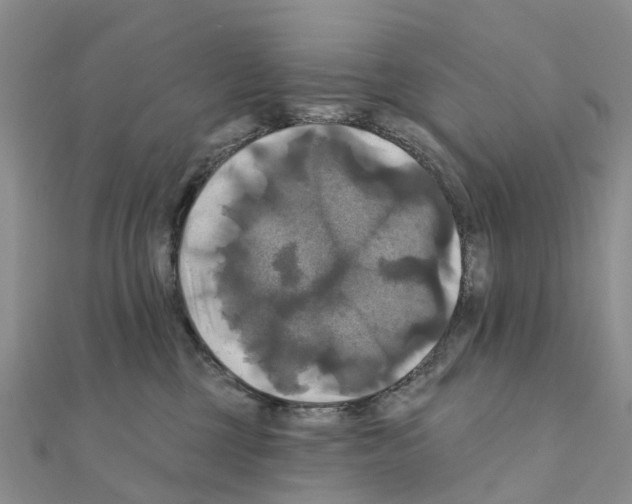 X0000111240377200908131150