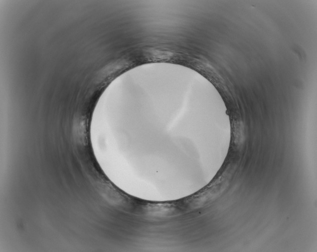 X0000111240378200908131150
