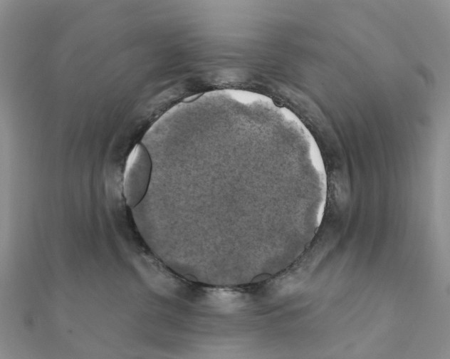 X0000111240380200908131150
