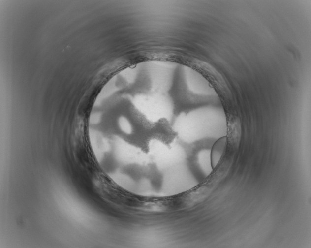 X0000111240381200908131150