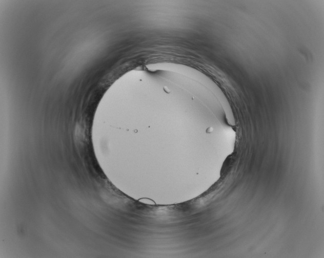 X0000111240382200908131150