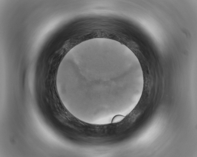 X0000111240383200908131150