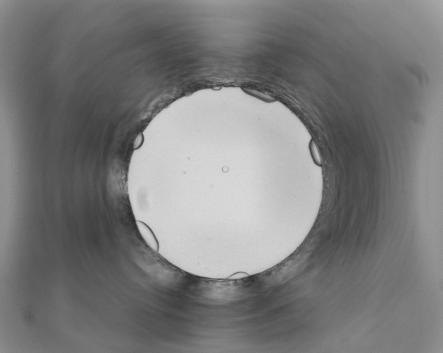 X0000111240384200908131150