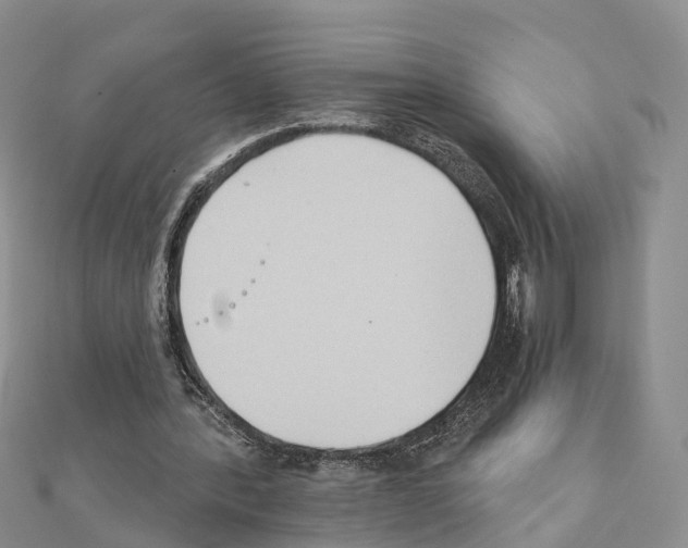 X0000111240388200908131150