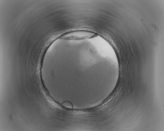 X0000111240389200908131150