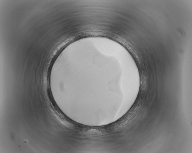 X0000111240390200908131150