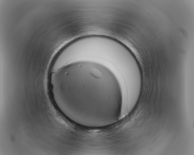 X0000111240391200908131150