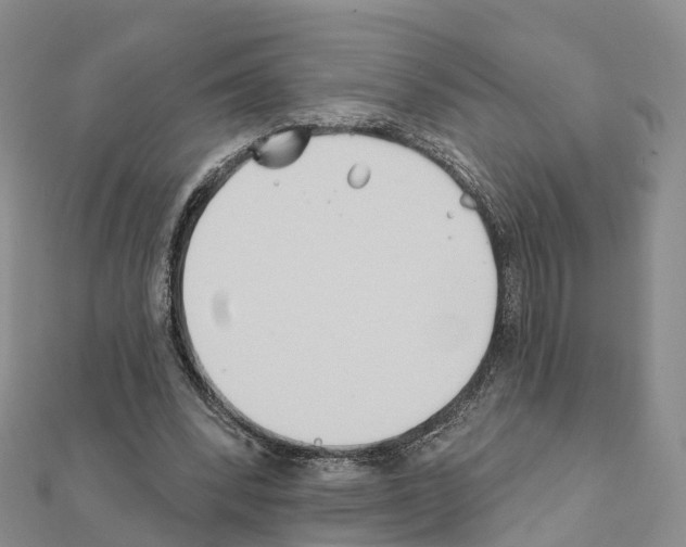 X0000111240392200908131150