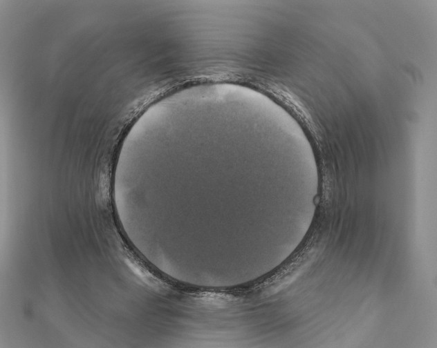 X0000111240393200908131150
