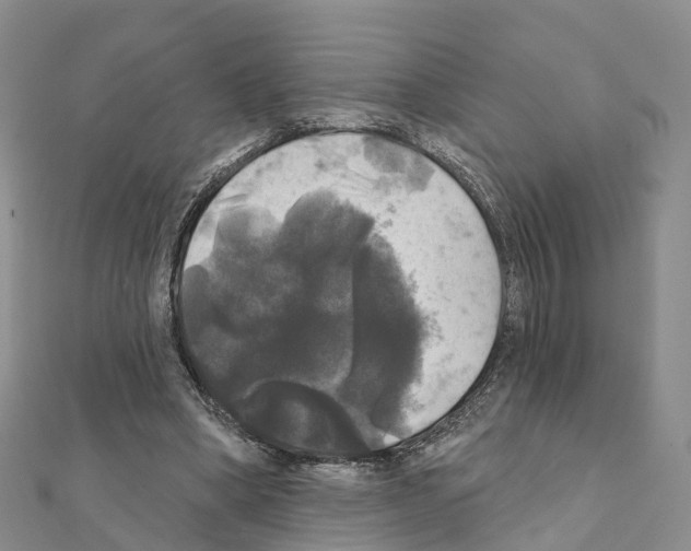 X0000111240394200908131150