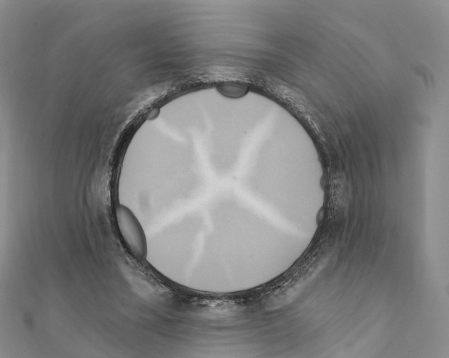 X0000111240395200908131150