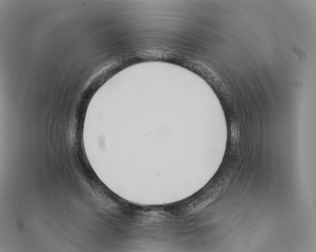 X0000111240396200908131149