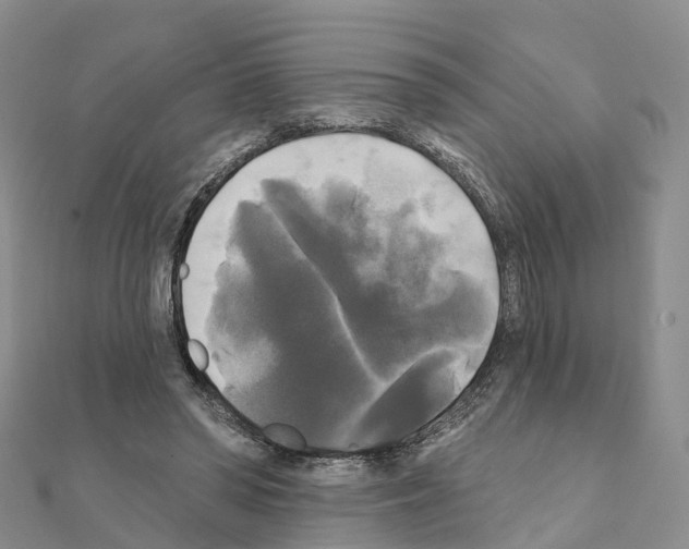 X0000111240398200908131149