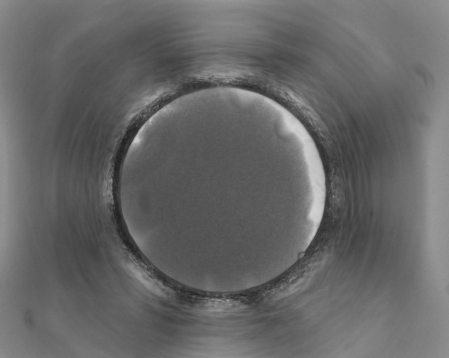 X0000111240399200908131149