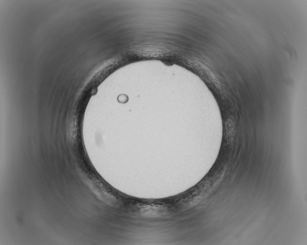 X0000111240400200908131149