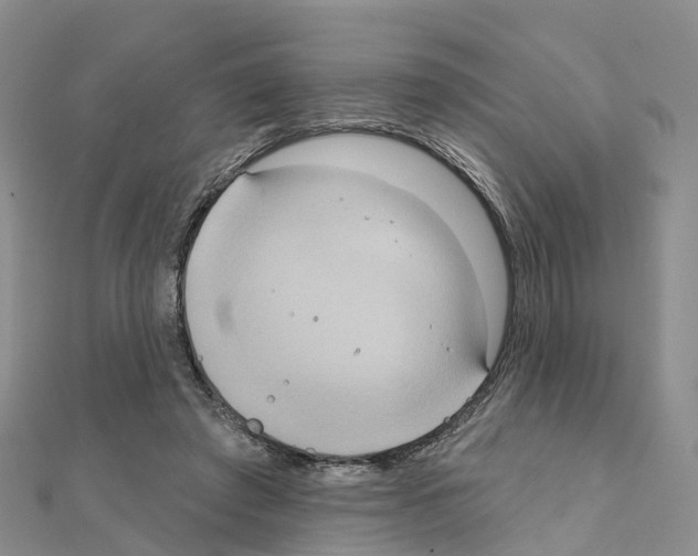 X0000111240401200908131149