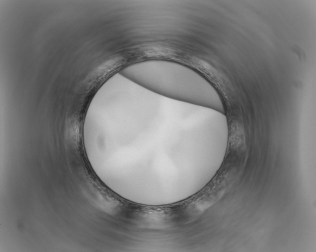 X0000111240405200908131149