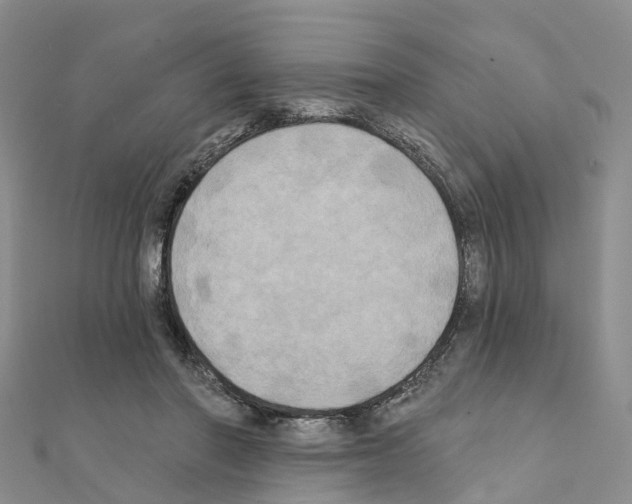 X0000111240406200908131149