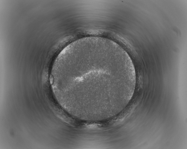 X0000111240407200908131149