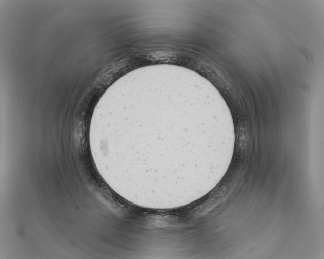 X0000111240408200908131149