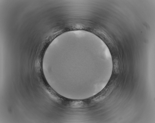 X0000111240410200908131149