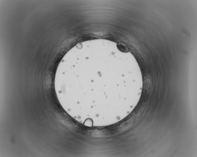 X0000111240412200908131149