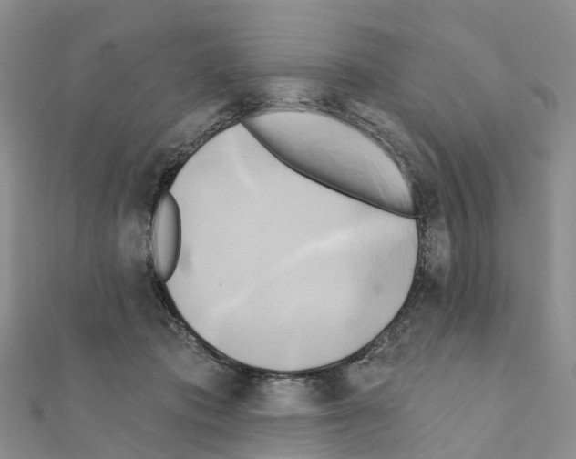 X0000111240413200908131149