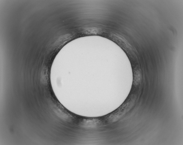 X0000111240414200908131149
