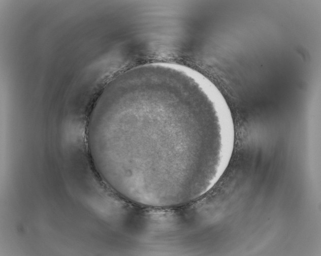 X0000111240415200908131149