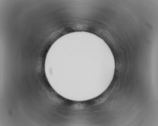 X0000111240416200908131149