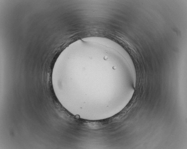 X0000111240417200908131149