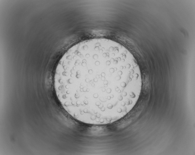 X0000111240418200908131149
