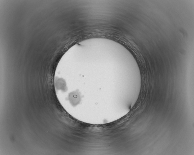 X0000111240419200908131149