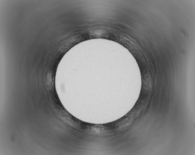 X0000111240420200908131149