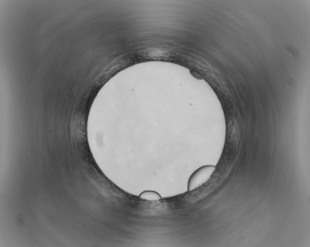 X0000111240421200908131149