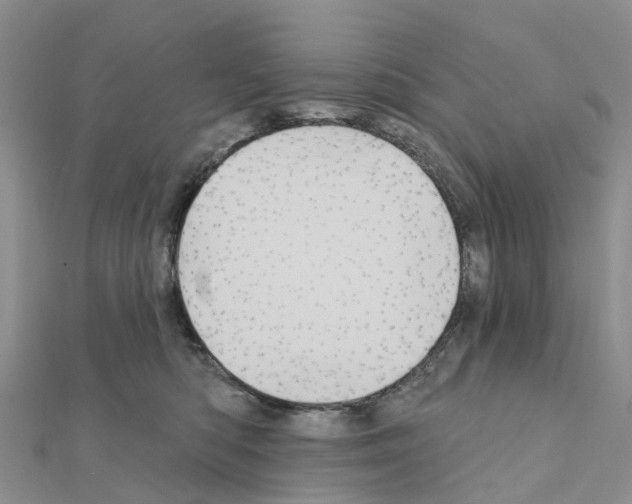X0000111240422200908131149