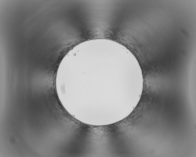 X0000111240423200908131149