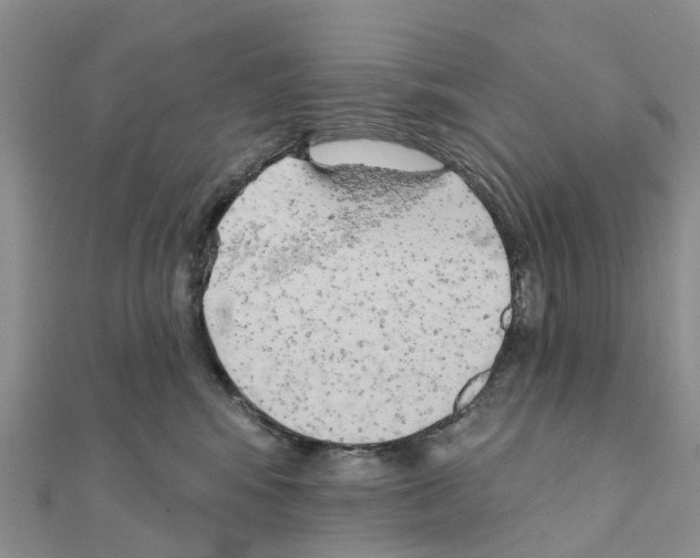 X0000111240424200908131149
